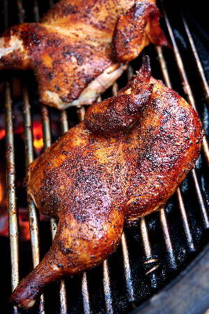 Chicken